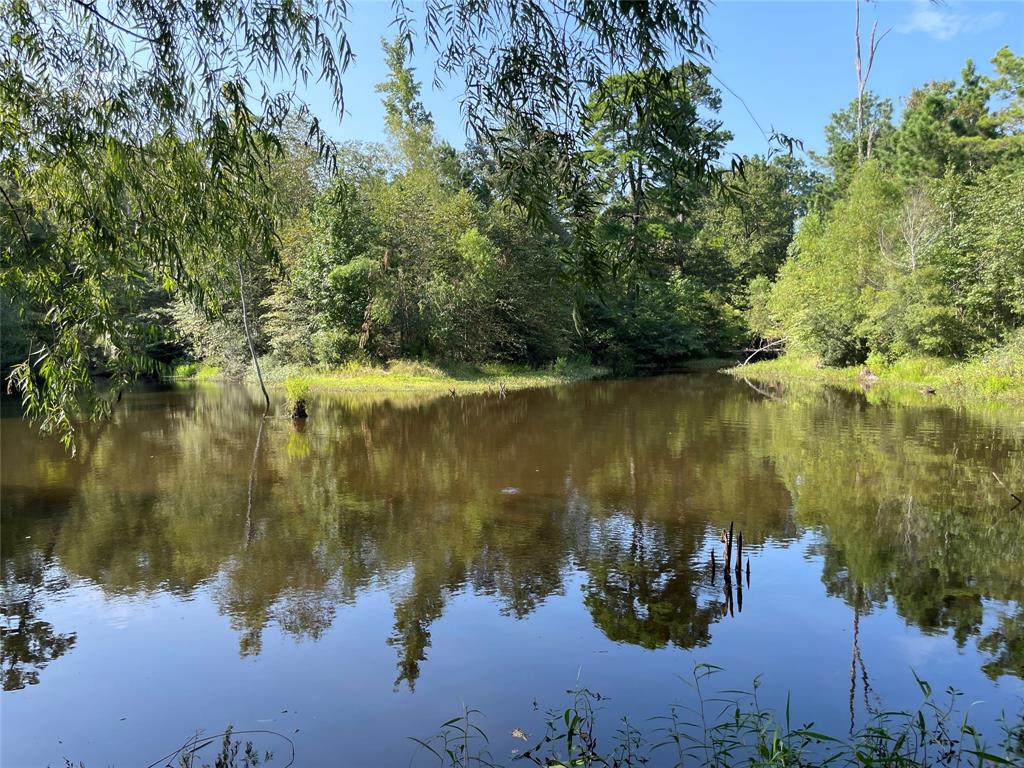 0 County Road 305 - Photo 11