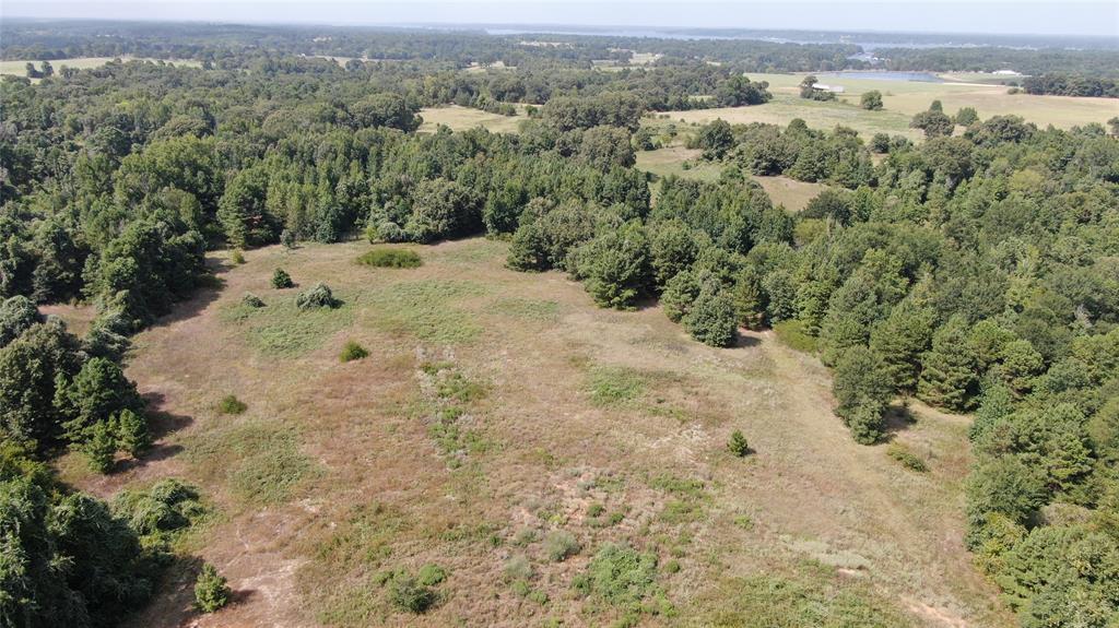 0 County Road 305 - Photo 17