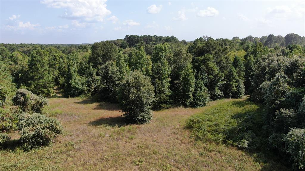 0 County Road 305 - Photo 19