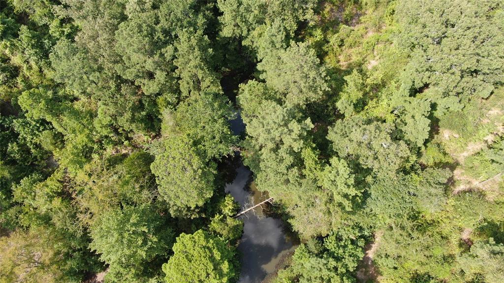 0 County Road 305 - Photo 23