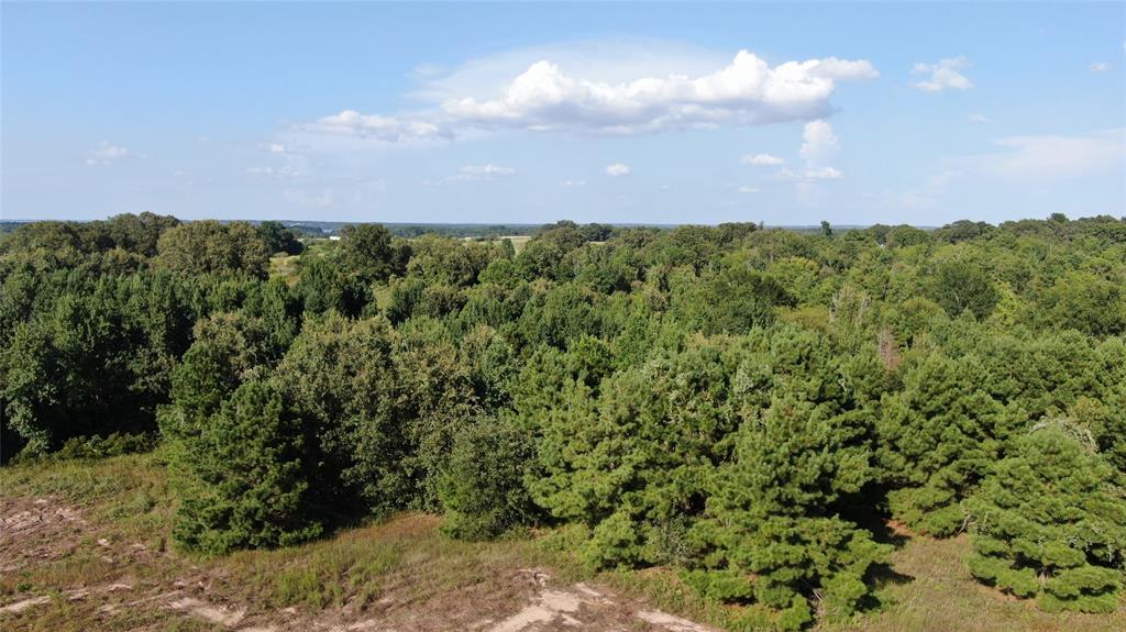 0 County Road 305 - Photo 25
