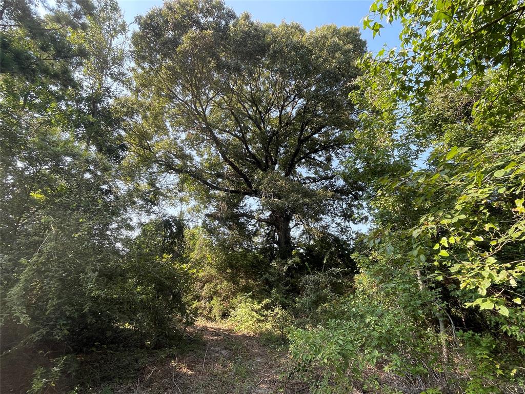 0 County Road 305 - Photo 28