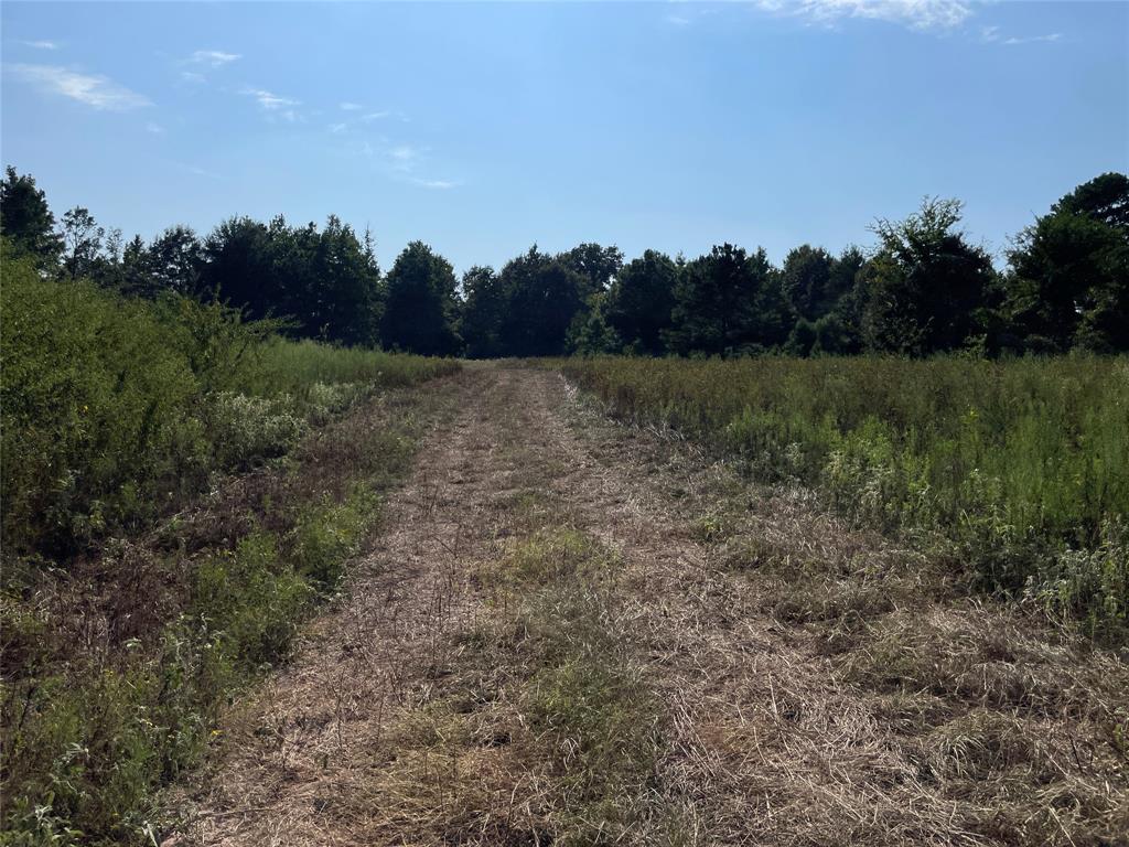 0 County Road 305 - Photo 30