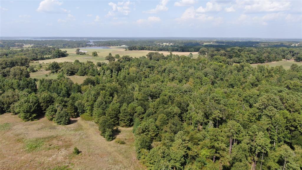 0 County Road 305 - Photo 33