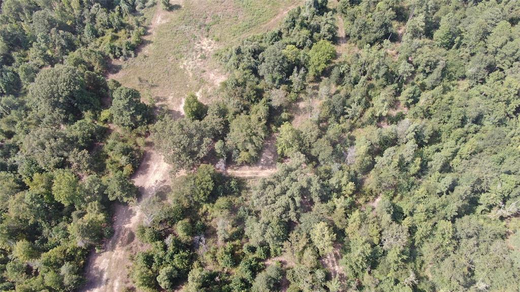 0 County Road 305 - Photo 35