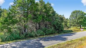 TBD Old Sadler Road - Photo 14
