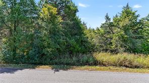 TBD Old Sadler Road - Photo 17