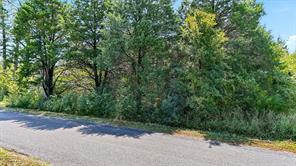 TBD Old Sadler Road - Photo 18