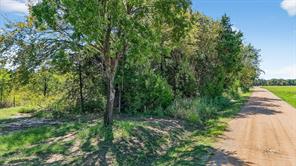 TBD Old Sadler Road - Photo 19