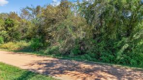 TBD Old Sadler Road - Photo 21