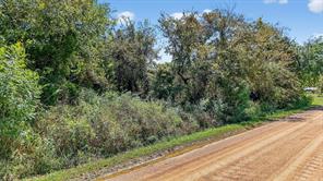 TBD Old Sadler Road - Photo 22