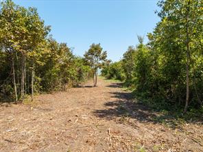 3108 Troy Road - Photo 11
