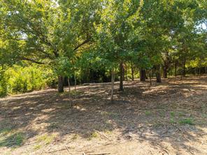 3108 Troy Road - Photo 15