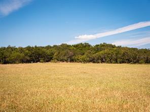 Lot 165 Pleasant Valley Road - Photo 12