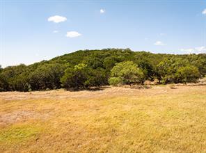 Lot 165 Pleasant Valley Road - Photo 19