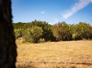 Lot 165 Pleasant Valley Road - Photo 5