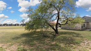 TBD Saddle Creek - Photo 16