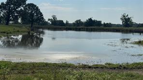 768 County Road 2220 - Photo 3