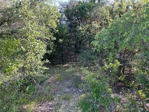 Lot 22 Oakcrest Drive - Photo 5