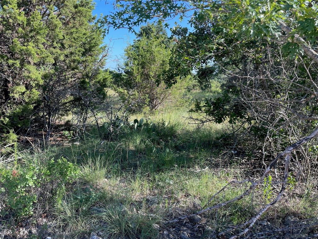 Lot 24 Oakcrest Drive - Photo 1