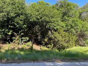 Lot 24 Oakcrest Drive - Photo 2