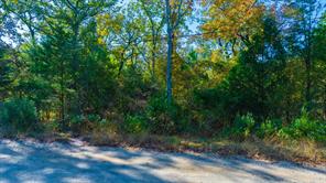 TBD-3 Cottonwood Lane - Photo 6