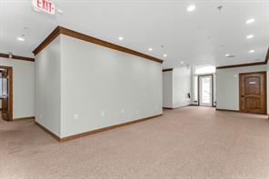 5212 Village Creek Dr Drive - Photo 12