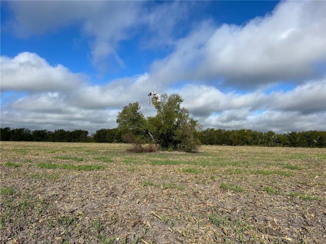 TBD CR 117 Road