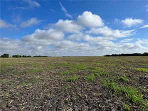 TBD CR 117 Road - Photo 11