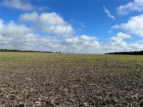 TBD CR 117 Road - Photo 13