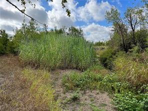 TBD CR 117 Road - Photo 16