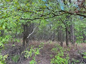 TBD CR 117 Road - Photo 18