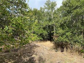TBD CR 117 Road - Photo 19