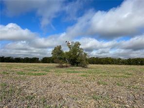 TBD CR 117 Road - Photo 2