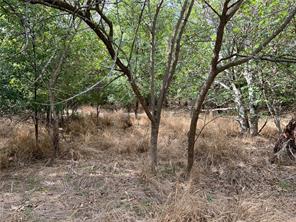TBD CR 117 Road - Photo 20
