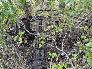 TBD CR 117 Road - Photo 21