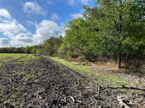 TBD CR 117 Road - Photo 3