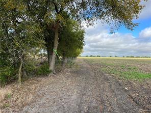 TBD CR 117 Road - Photo 4