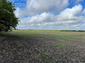 TBD CR 117 Road - Photo 6