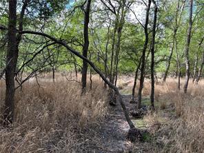 TBD CR 117 Road - Photo 7