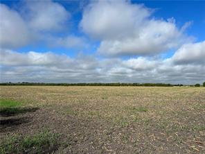 TBD CR 117 Road - Photo 8