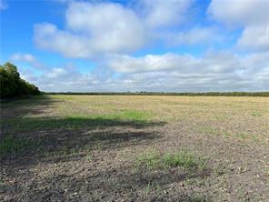 TBD CR 117 Road - Photo 9