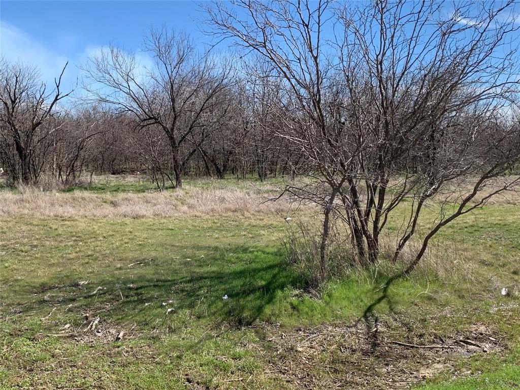 518 Sleepy Meadow Drive - Photo 2