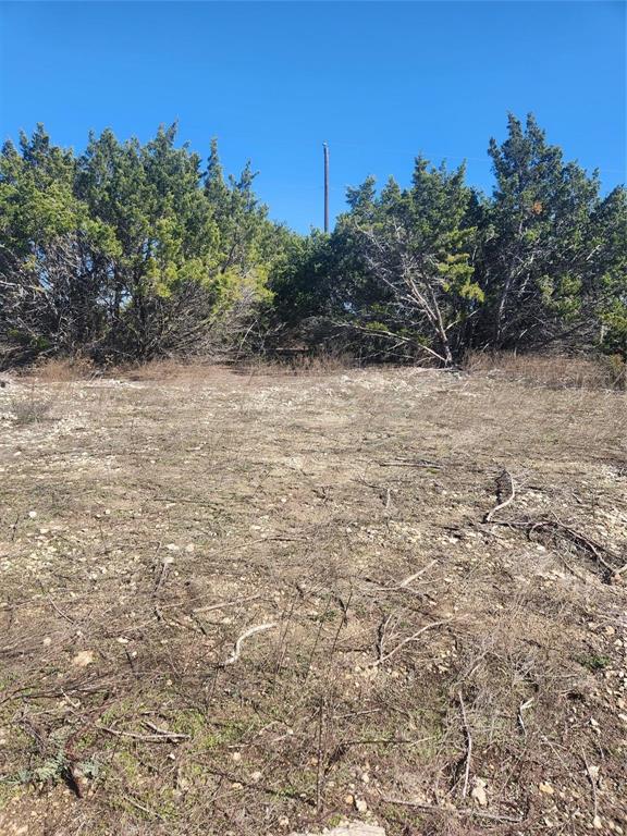 1005 Overhill Drive - Photo 3