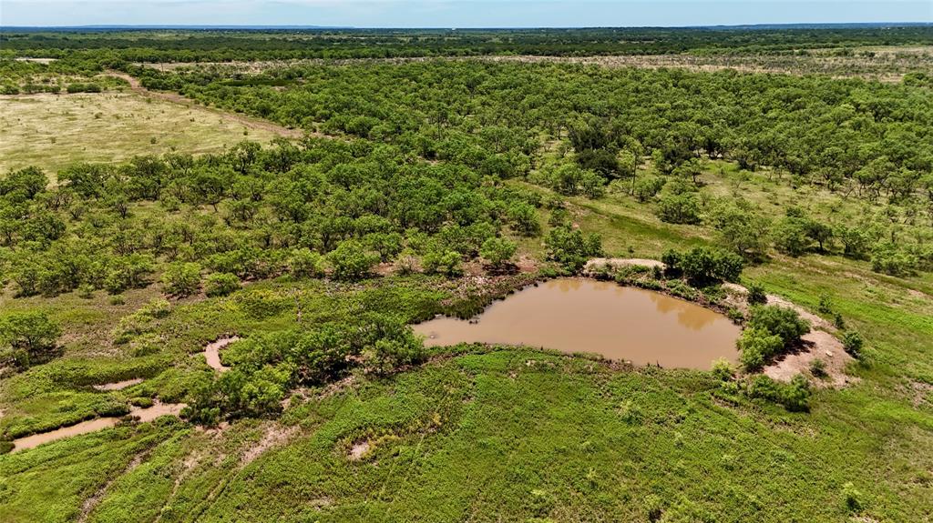 TBD County Road 121 - Photo 14