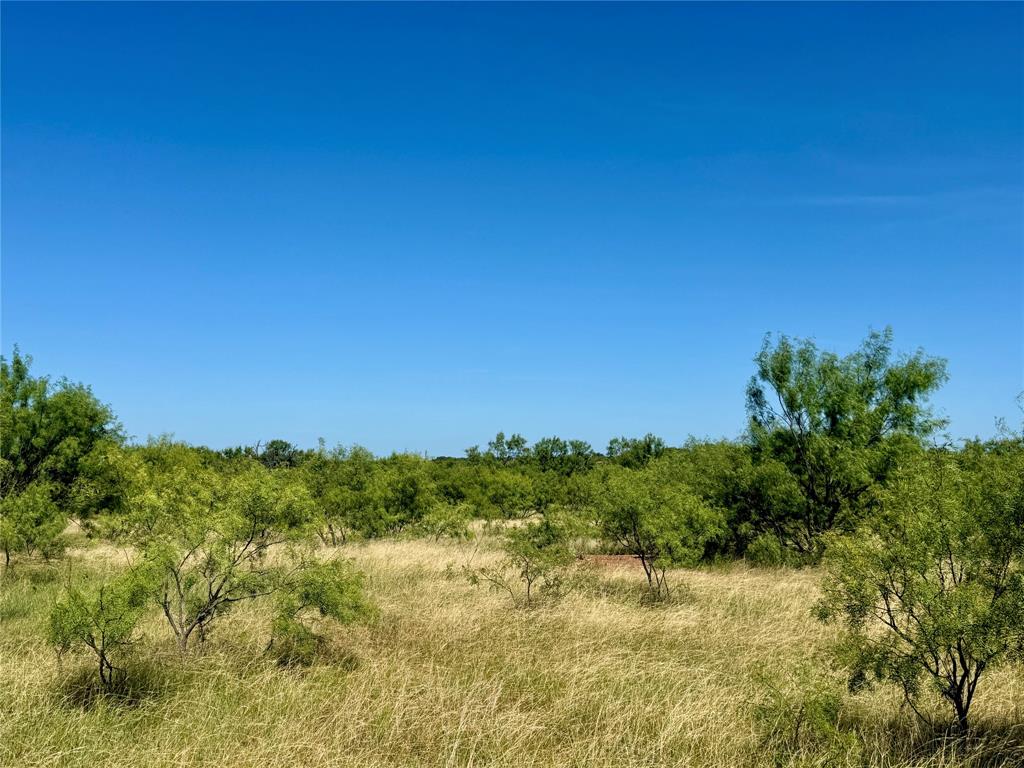 TBD County Road 121 - Photo 16