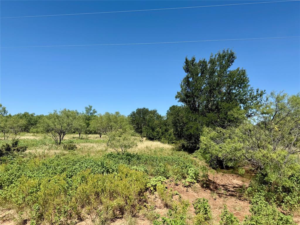 TBD County Road 121 - Photo 24