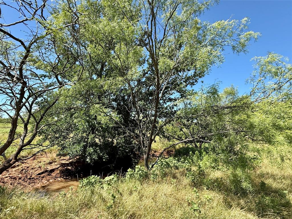 TBD County Road 121 - Photo 25