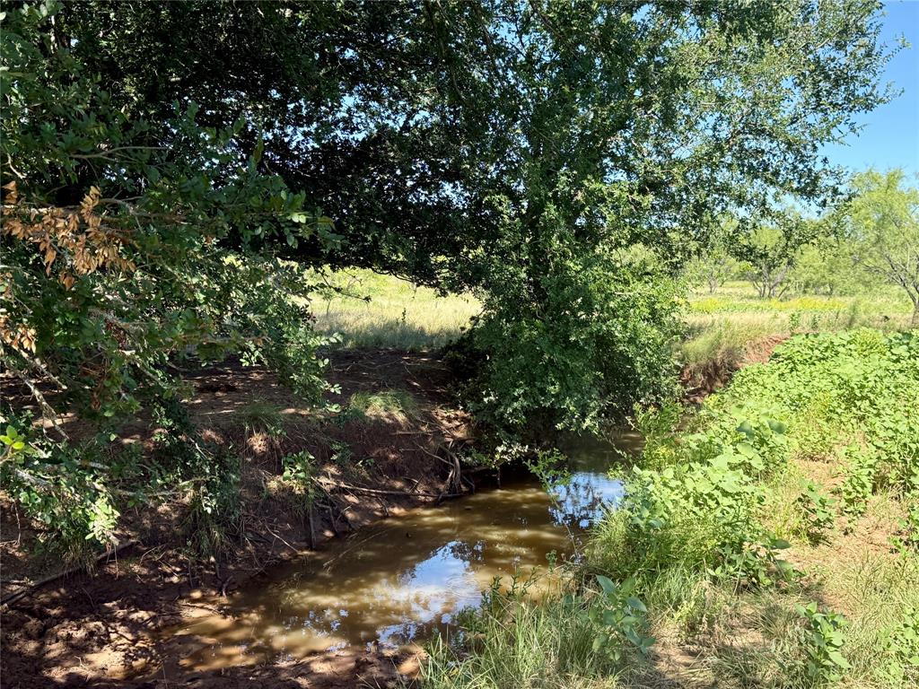 TBD County Road 121 - Photo 3