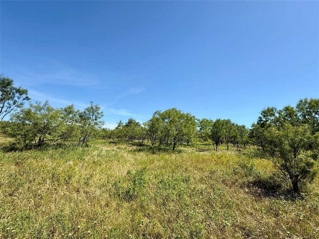 TBD County Road 121 - Photo 32